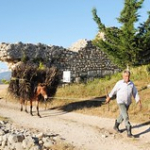 • <a style="font-size:0.8em;" href="http://www.flickr.com/photos/56388541@N06/14450352749/" target="_blank">View on Flickr</a>