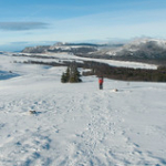 DSC_7403 DSC_7403 • <a style="font-size:0.8em;" href="http://www.flickr.com/photos/56388541@N06/13068372493/" target="_blank">View on Flickr</a>