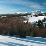 DSC_7448 DSC_7448 • <a style="font-size:0.8em;" href="http://www.flickr.com/photos/56388541@N06/13068584964/" target="_blank">View on Flickr</a>