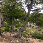 • <a style="font-size:0.8em;" href="http://www.flickr.com/photos/56388541@N06/19344284350/" target="_blank">View on Flickr</a>