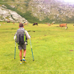 • <a style="font-size:0.8em;" href="http://www.flickr.com/photos/56388541@N06/19525514942/" target="_blank">View on Flickr</a>