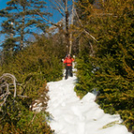 DSC_7541 DSC_7541 • <a style="font-size:0.8em;" href="http://www.flickr.com/photos/56388541@N06/13068275415/" target="_blank">View on Flickr</a>