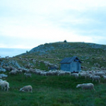 DSC_2166 DSC_2166 • <a style="font-size:0.8em;" href="http://www.flickr.com/photos/56388541@N06/19398161200/" target="_blank">View on Flickr</a>