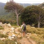 • <a style="font-size:0.8em;" href="http://www.flickr.com/photos/56388541@N06/19506097406/" target="_blank">View on Flickr</a>