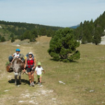 DSC_1979 DSC_1979 • <a style="font-size:0.8em;" href="http://www.flickr.com/photos/56388541@N06/19591320251/" target="_blank">View on Flickr</a>