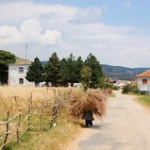 • <a style="font-size:0.8em;" href="http://www.flickr.com/photos/56388541@N06/14689341014/" target="_blank">View on Flickr</a>