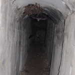 • <a style="font-size:0.8em;" href="http://www.flickr.com/photos/56388541@N06/14450337318/" target="_blank">View on Flickr</a>