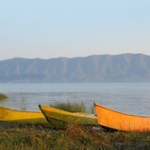 • <a style="font-size:0.8em;" href="http://www.flickr.com/photos/56388541@N06/14733072922/" target="_blank">View on Flickr</a>