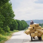 • <a style="font-size:0.8em;" href="http://www.flickr.com/photos/56388541@N06/14495567379/" target="_blank">View on Flickr</a>