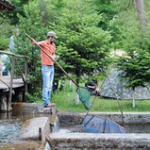 • <a style="font-size:0.8em;" href="http://www.flickr.com/photos/56388541@N06/14679846594/" target="_blank">View on Flickr</a>