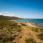 P4300182 P4300182 • <a style="font-size:0.8em;" href="http://www.flickr.com/photos/56388541@N06/34445109195/" target="_blank">View on Flickr</a>