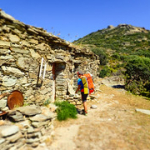 P4290032 P4290032 • <a style="font-size:0.8em;" href="http://www.flickr.com/photos/56388541@N06/33635271373/" target="_blank">View on Flickr</a>