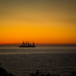 P4290155 P4290155 • <a style="font-size:0.8em;" href="http://www.flickr.com/photos/56388541@N06/34445112845/" target="_blank">View on Flickr</a>