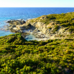 P4290102 P4290102 • <a style="font-size:0.8em;" href="http://www.flickr.com/photos/56388541@N06/33635271843/" target="_blank">View on Flickr</a>