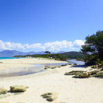 P4290018 P4290018 • <a style="font-size:0.8em;" href="http://www.flickr.com/photos/56388541@N06/34285398552/" target="_blank">View on Flickr</a>