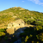 P4290105 P4290105 • <a style="font-size:0.8em;" href="http://www.flickr.com/photos/56388541@N06/34403620526/" target="_blank">View on Flickr</a>