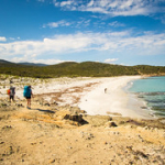 P4300177 P4300177 • <a style="font-size:0.8em;" href="http://www.flickr.com/photos/56388541@N06/34445112385/" target="_blank">View on Flickr</a>