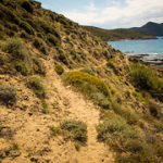 P4300203 P4300203 • <a style="font-size:0.8em;" href="http://www.flickr.com/photos/56388541@N06/34445111225/" target="_blank">View on Flickr</a>