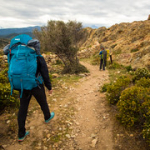 P5010258 P5010258 • <a style="font-size:0.8em;" href="http://www.flickr.com/photos/56388541@N06/34285398902/" target="_blank">View on Flickr</a>