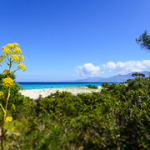 P4290006 P4290006 • <a style="font-size:0.8em;" href="http://www.flickr.com/photos/56388541@N06/34445113625/" target="_blank">View on Flickr</a>