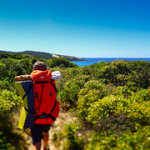 P4290028 P4290028 • <a style="font-size:0.8em;" href="http://www.flickr.com/photos/56388541@N06/34445114165/" target="_blank">View on Flickr</a>