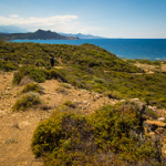 P4300194 P4300194 • <a style="font-size:0.8em;" href="http://www.flickr.com/photos/56388541@N06/33635269543/" target="_blank">View on Flickr</a>