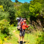 P4290021 P4290021 • <a style="font-size:0.8em;" href="http://www.flickr.com/photos/56388541@N06/34445113815/" target="_blank">View on Flickr</a>