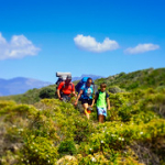 P4290029 P4290029 • <a style="font-size:0.8em;" href="http://www.flickr.com/photos/56388541@N06/33635271233/" target="_blank">View on Flickr</a>