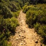 P4300191 P4300191 • <a style="font-size:0.8em;" href="http://www.flickr.com/photos/56388541@N06/33635269713/" target="_blank">View on Flickr</a>