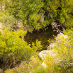 P4300211 P4300211 • <a style="font-size:0.8em;" href="http://www.flickr.com/photos/56388541@N06/34285397942/" target="_blank">View on Flickr</a>