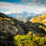 P5010253 P5010253 • <a style="font-size:0.8em;" href="http://www.flickr.com/photos/56388541@N06/34403618566/" target="_blank">View on Flickr</a>