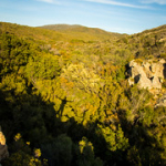 P4300249 P4300249 • <a style="font-size:0.8em;" href="http://www.flickr.com/photos/56388541@N06/33635269223/" target="_blank">View on Flickr</a>