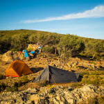 P4300245 P4300245 • <a style="font-size:0.8em;" href="http://www.flickr.com/photos/56388541@N06/34445111025/" target="_blank">View on Flickr</a>