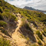 P4300210 P4300210 • <a style="font-size:0.8em;" href="http://www.flickr.com/photos/56388541@N06/33635269493/" target="_blank">View on Flickr</a>