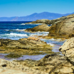 P4290065 P4290065 • <a style="font-size:0.8em;" href="http://www.flickr.com/photos/56388541@N06/34285398432/" target="_blank">View on Flickr</a>