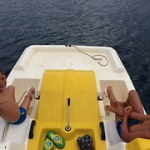 • <a style="font-size:0.8em;" href="http://www.flickr.com/photos/56388541@N06/14465649927/" target="_blank">View on Flickr</a>