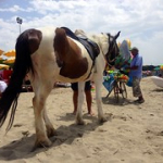 TITRE TITRE • <a style="font-size:0.8em;" href="http://www.flickr.com/photos/56388541@N06/14603143304/" target="_blank">View on Flickr</a>