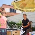 • <a style="font-size:0.8em;" href="http://www.flickr.com/photos/56388541@N06/14710364786/" target="_blank">View on Flickr</a>