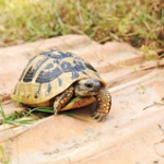 • <a style="font-size:0.8em;" href="http://www.flickr.com/photos/56388541@N06/14634792304/" target="_blank">View on Flickr</a>