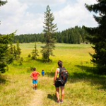 DSC_2389 DSC_2389 • <a style="font-size:0.8em;" href="http://www.flickr.com/photos/56388541@N06/20035210003/" target="_blank">View on Flickr</a>