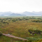 DSC_2226 DSC_2226 • <a style="font-size:0.8em;" href="http://www.flickr.com/photos/56388541@N06/20033597334/" target="_blank">View on Flickr</a>