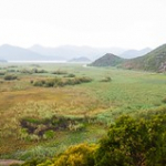 DSC_2227 DSC_2227 • <a style="font-size:0.8em;" href="http://www.flickr.com/photos/56388541@N06/20468153000/" target="_blank">View on Flickr</a>