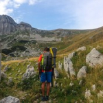 IMG_5470 IMG_5470 • <a style="font-size:0.8em;" href="http://www.flickr.com/photos/56388541@N06/20646962962/" target="_blank">View on Flickr</a>