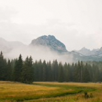 DSC_2413 DSC_2413 • <a style="font-size:0.8em;" href="http://www.flickr.com/photos/56388541@N06/20035209113/" target="_blank">View on Flickr</a>