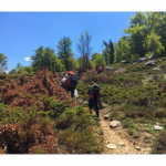 BUSHCRAFT Plateau du COSCIONE BUSHCRAFT Plateau du COSCIONE • <a style="font-size:0.8em;" href="http://www.flickr.com/photos/56388541@N06/26585395580/" target="_blank">View on Flickr</a>