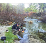 BUSHCRAFT Plateau du COSCIONE BUSHCRAFT Plateau du COSCIONE • <a style="font-size:0.8em;" href="http://www.flickr.com/photos/56388541@N06/26822196166/" target="_blank">View on Flickr</a>