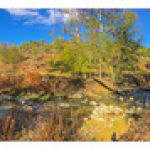 BUSHCRAFT Plateau du COSCIONE BUSHCRAFT Plateau du COSCIONE • <a style="font-size:0.8em;" href="http://www.flickr.com/photos/56388541@N06/26855940635/" target="_blank">View on Flickr</a>