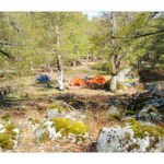 BUSHCRAFT Plateau du COSCIONE BUSHCRAFT Plateau du COSCIONE • <a style="font-size:0.8em;" href="http://www.flickr.com/photos/56388541@N06/26785286311/" target="_blank">View on Flickr</a>