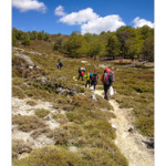 BUSHCRAFT Plateau du COSCIONE BUSHCRAFT Plateau du COSCIONE • <a style="font-size:0.8em;" href="http://www.flickr.com/photos/56388541@N06/26758510522/" target="_blank">View on Flickr</a>