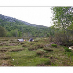 Bushcraft Coscione 2 Bushcraft Coscione 2 • <a style="font-size:0.8em;" href="http://www.flickr.com/photos/56388541@N06/27183065690/" target="_blank">View on Flickr</a>